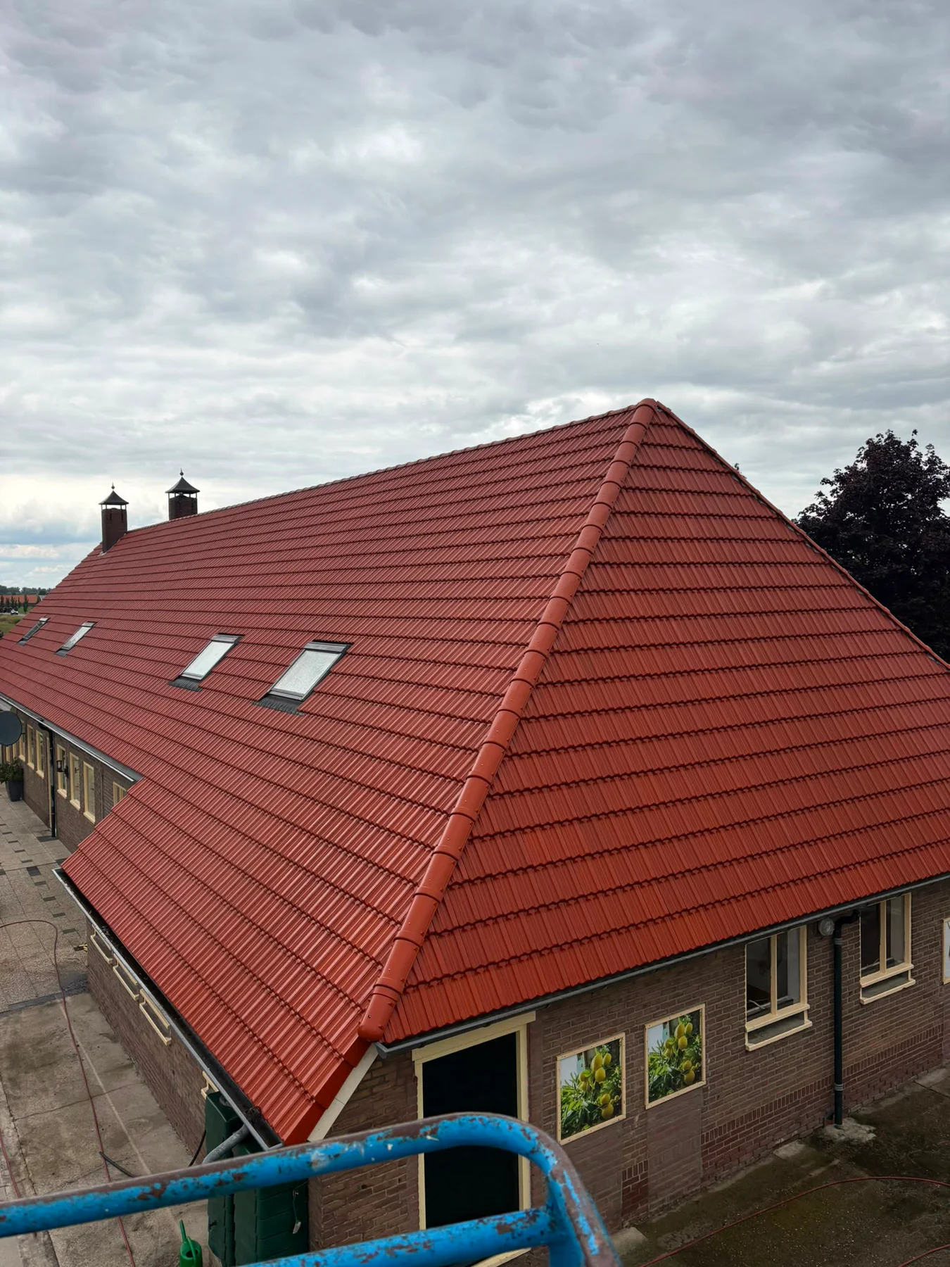CTM Cleaning specialist reinigt een pannendak